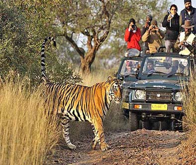 Voyage Delhi Agra avec Parc National Corbett